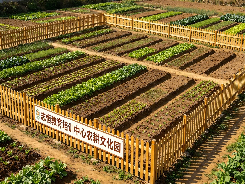 荆门青少年全封闭成长培育机构推荐指南